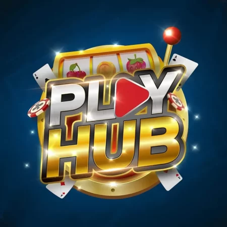 playhub casino